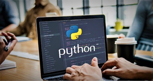 Python developing businesses in the US